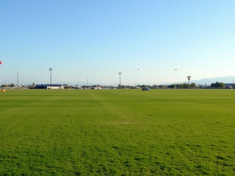 Landing area at Skydive Lake Elsinore